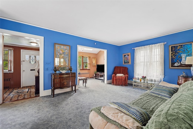 42 Longview Ave, White Plains, NY 10605 - living area with radiator heating unit, carpet floors, ornamental molding, and baseboards