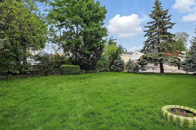 42 Longview Ave, White Plains, NY 10605 - view of grassy yard