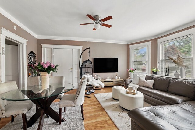 40 Longview Ave, White Plains, NY 10605 - living area featuring a ceiling fan, light wood-style flooring, and ornamental molding