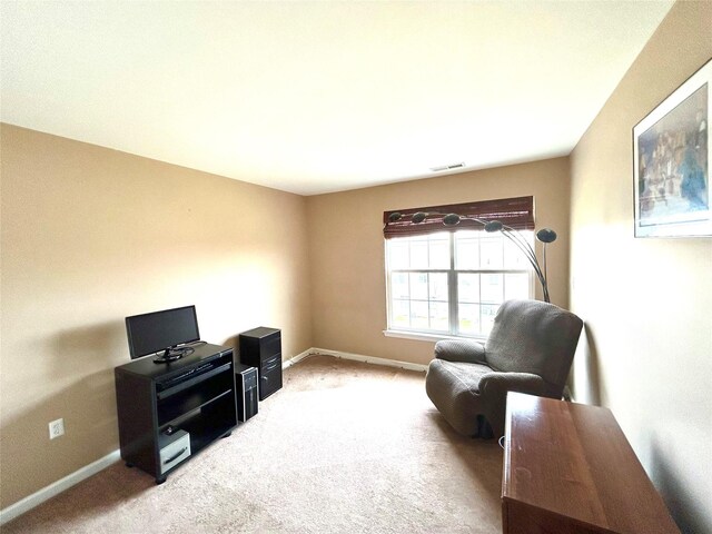 19 Brighton Dr Unit 1703, Newburgh, NY 12550 - sitting room with light carpet and baseboards