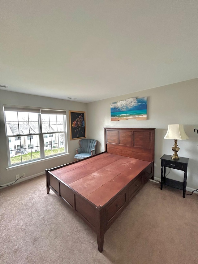 19 Brighton Dr Unit 1703, Newburgh, NY 12550 - bedroom with carpet flooring and baseboards
