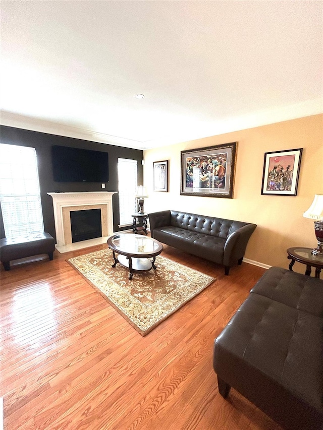 19 Brighton Dr Unit 1703, Newburgh, NY 12550 - living area featuring healthy amount of natural light, wood finished floors, and a fireplace with flush hearth