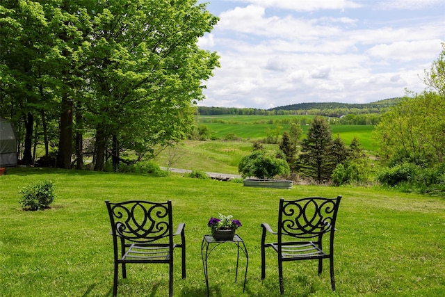view of green lawn