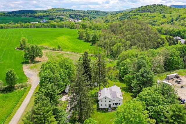 aerial view of a forest