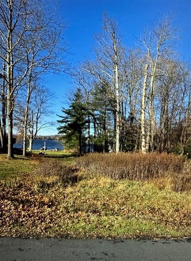 Lake Shore Dr E, Rock Hill, NY 12775 - photo 4
