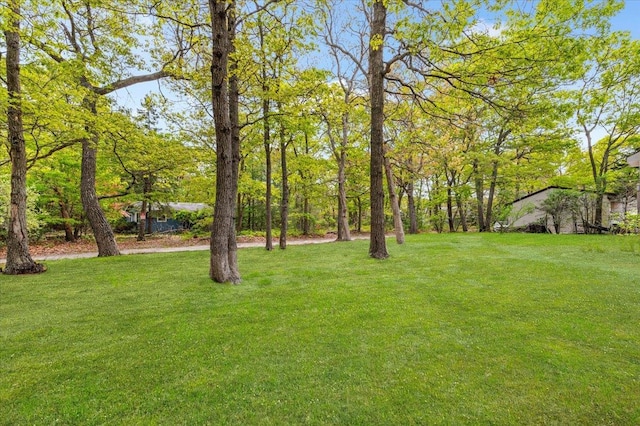 53 Shore Rd, Hampton Bays, NY 11946 - view of green lawn