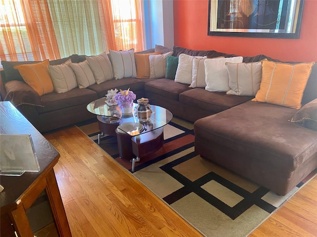 living room with wood finished floors
