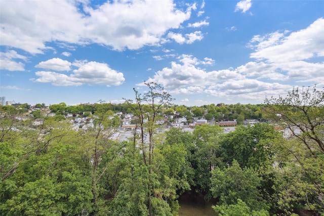 400 High Point Dr Unit 313, Hartsdale, NY 10530 - drone / aerial view