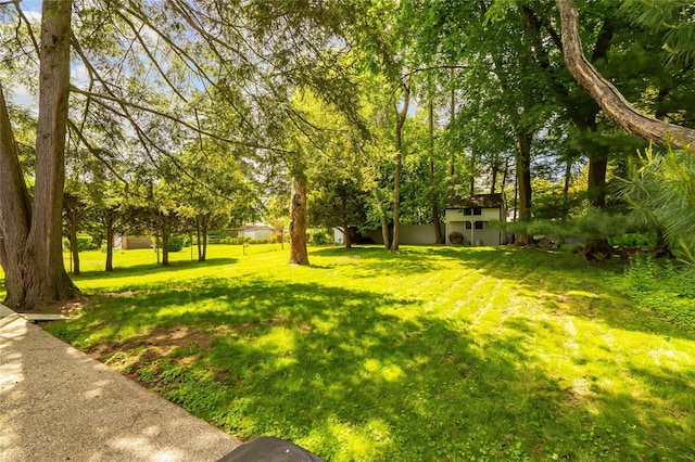 63 Lexington Dr, Croton-On-Hudson, NY 10520 - view of green lawn