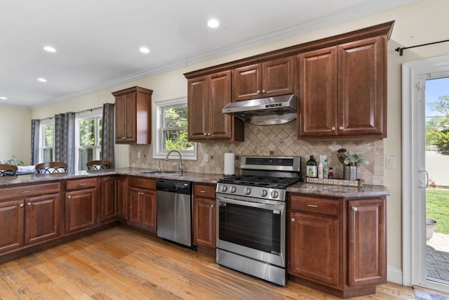 kitchen featuring stainless steel appliances, under cabinet range hood, a sink, light wood finished floors, and backsplash