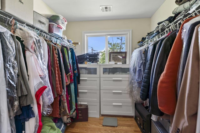 spacious closet with light wood finished floors
