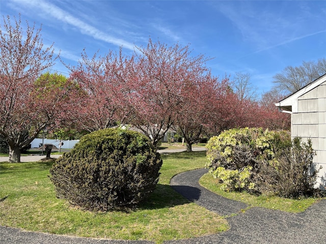 11 Acorn Ln, Stony Brook, NY 11790 - view of green lawn