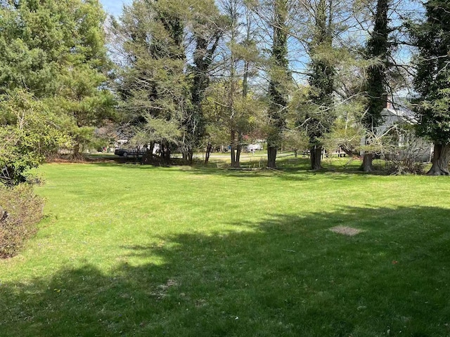 11 Acorn Ln, Stony Brook, NY 11790 - view of grassy yard