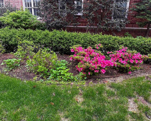 160 Cabrini Blvd Unit 62, New York Manhattan, NY 10033 - view of yard