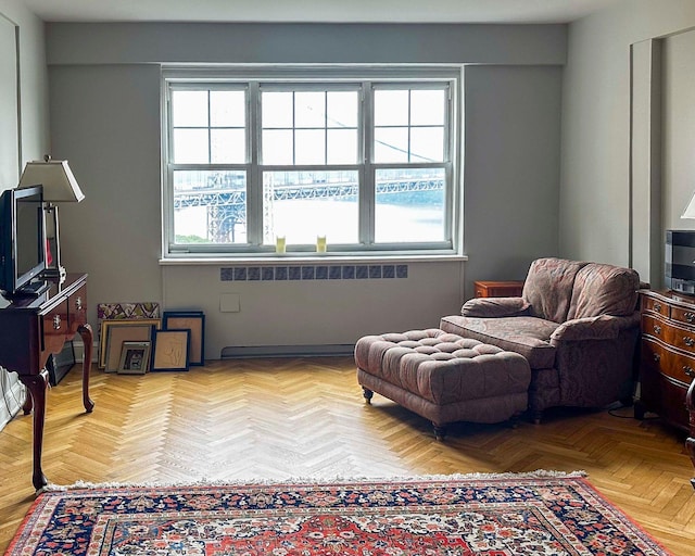 160 Cabrini Blvd Unit 62, New York Manhattan, NY 10033 - living area with radiator heating unit