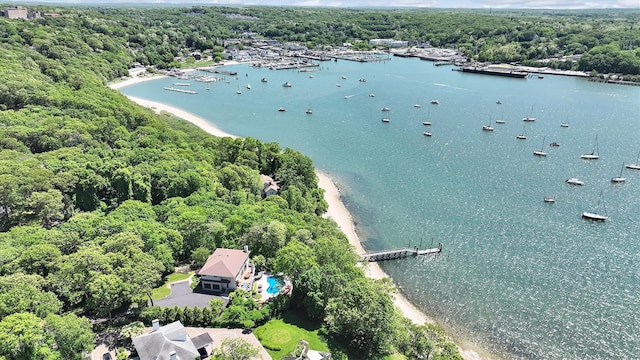 12 Sunset Path, Port Jefferson, NY 11777 - drone / aerial view of a heavily wooded area and a nearby body of water
