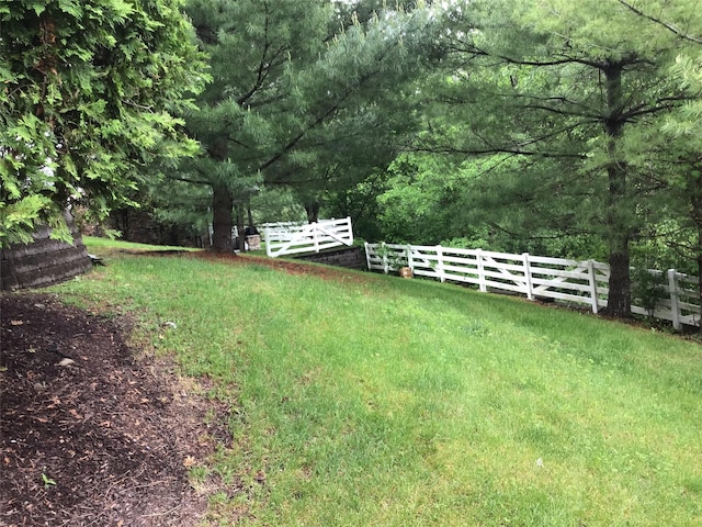 view of yard