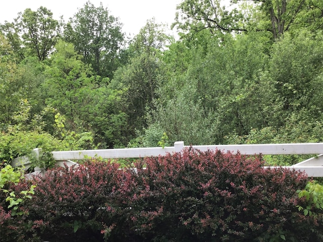 view of yard featuring a forest view