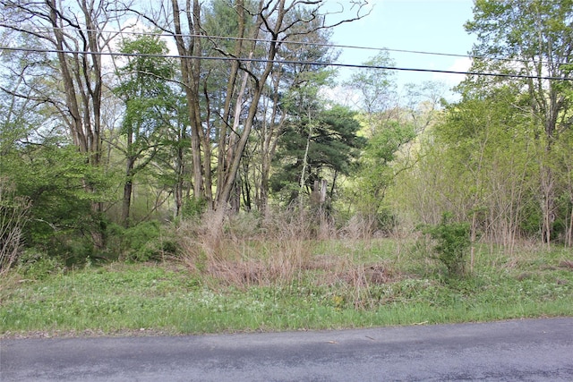 53 Menges Rd, Livingston Manor, NY 12758 - photo 2