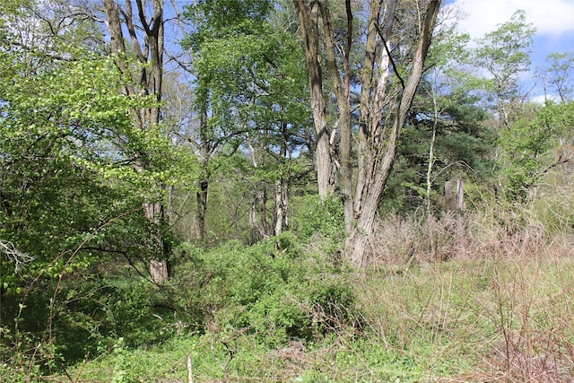 53 Menges Rd, Livingston Manor, NY 12758 - photo 4