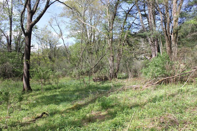 53 Menges Rd, Livingston Manor, NY 12758 - photo 7