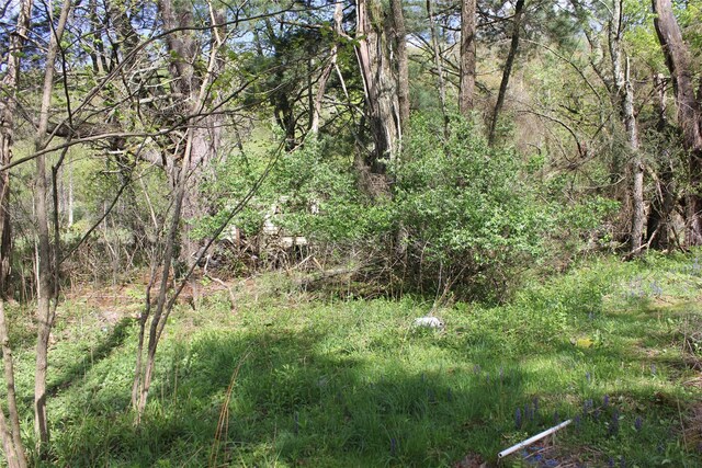 53 Menges Rd, Livingston Manor, NY 12758 - photo 8