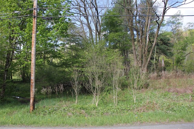 53 Menges Rd, Livingston Manor, NY 12758 - photo 15