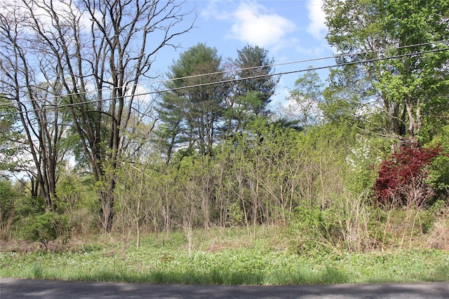 53 Menges Rd, Livingston Manor, NY 12758 - photo 16