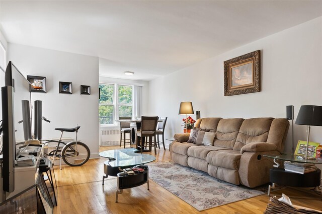 205 E 238th St Unit 22, Bronx, NY 10470 - living area with radiator and light wood-style floors
