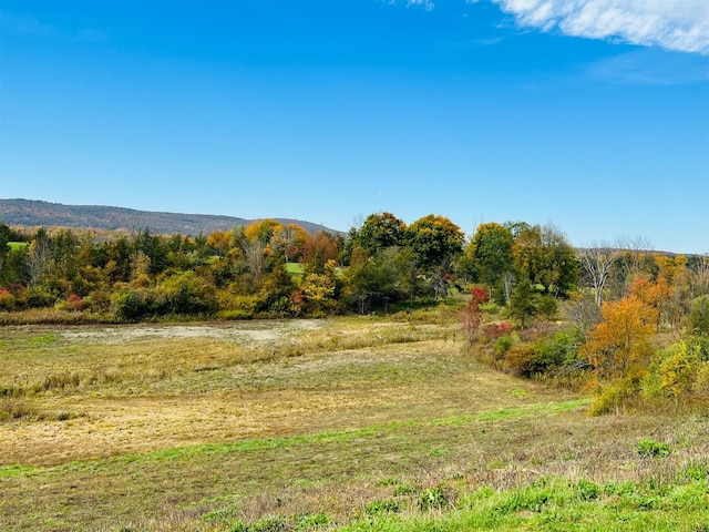 LOT4 Westerly Ridge Dr, Amenia, NY 12501 - photo 2