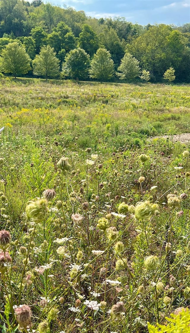 LOT4 Westerly Ridge Dr, Amenia, NY 12501 - photo 5