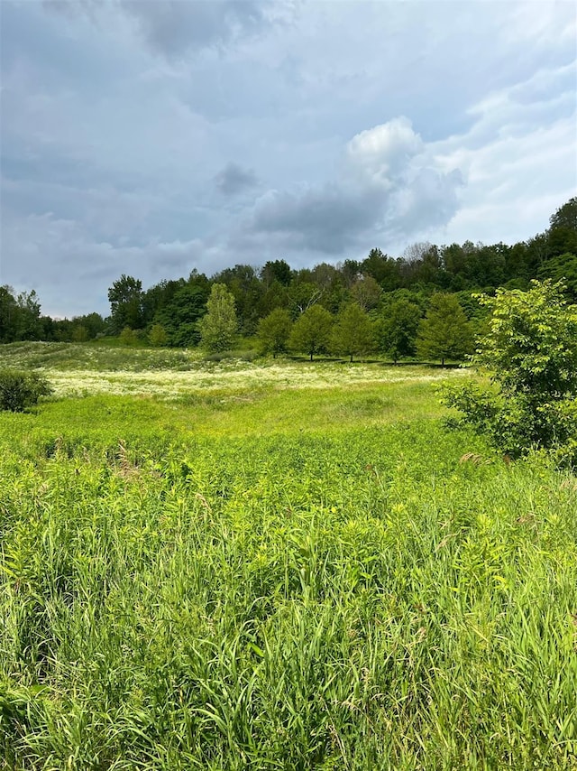LOT4 Westerly Ridge Dr, Amenia, NY 12501 - photo 6
