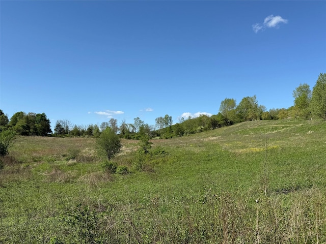 LOT4 Westerly Ridge Dr, Amenia, NY 12501 - photo 9
