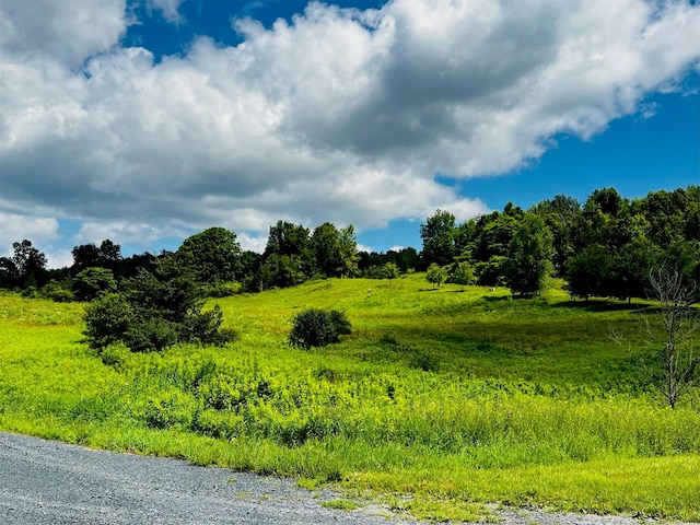 LOT4 Westerly Ridge Dr, Amenia, NY 12501 - photo 10