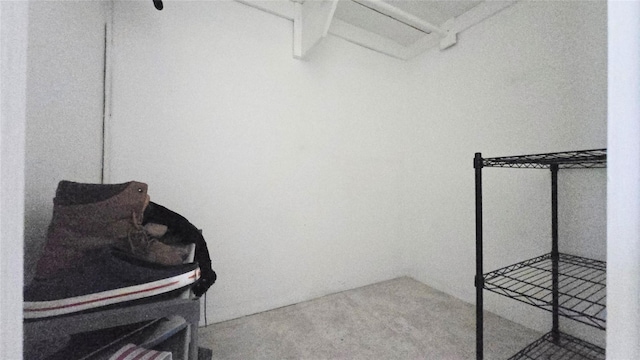 160-10 89th Ave Unit 9A, Jamaica, NY 11432 - walk in closet with carpet