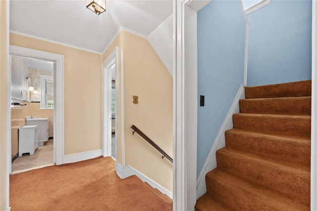 staircase featuring carpet floors, crown molding, and baseboards