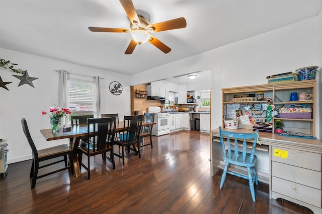 17 Sylvan Lake Rd, Lagrangeville, NY 12540 - dining area featuring a ceiling fan and dark wood-style flooring
