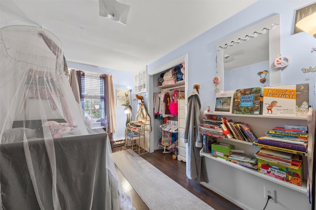 17 Sylvan Lake Rd, Lagrangeville, NY 12540 - bedroom featuring wood finished floors and a closet