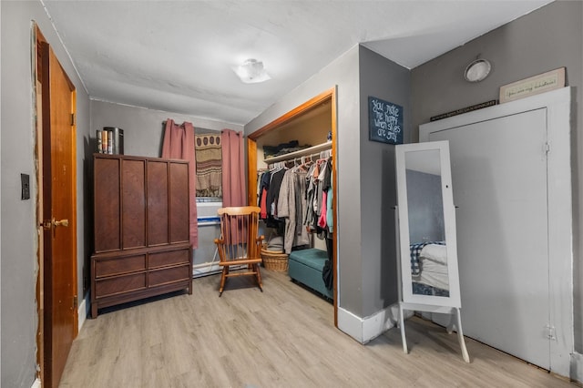 17 Sylvan Lake Rd, Lagrangeville, NY 12540 - spacious closet featuring wood finished floors
