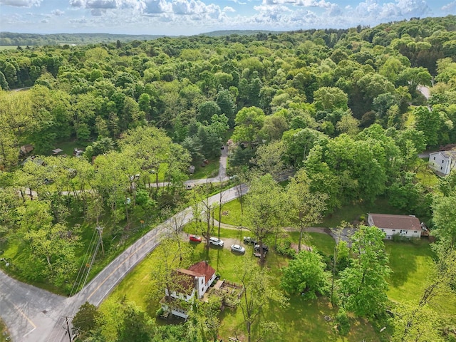 17 Sylvan Lake Rd, Lagrangeville, NY 12540 - aerial view of a forest