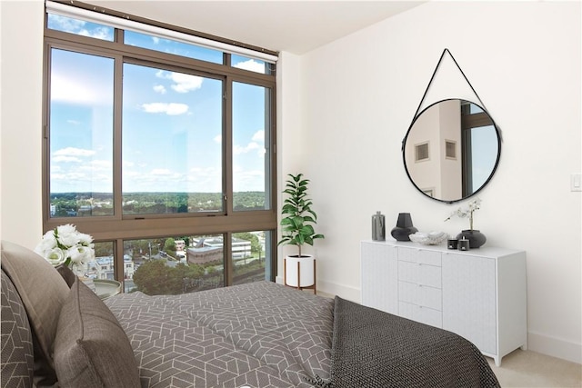 bedroom featuring baseboards
