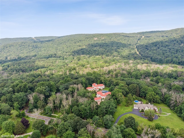 aerial view of a forest