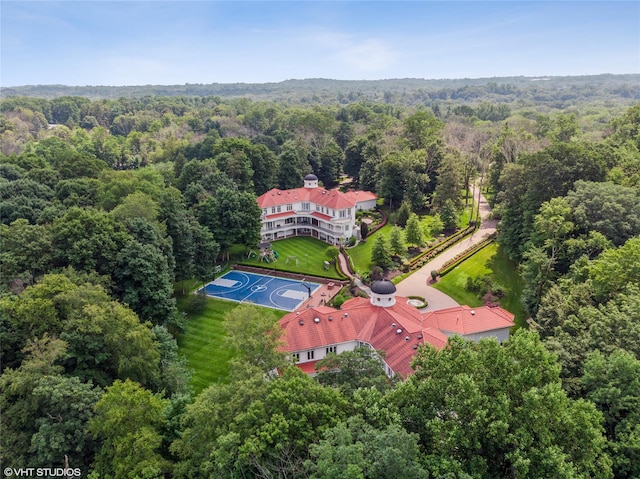 drone / aerial view of a forest