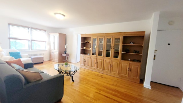 109 N Broadway Unit M12, White Plains, NY 10603 - living area with light wood-style flooring and radiator heating unit