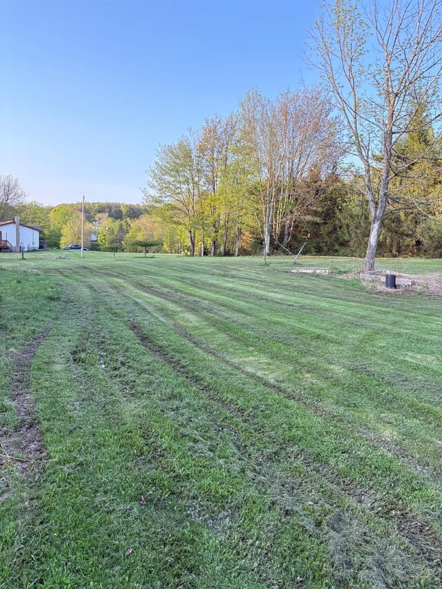 223 Wade, Liberty, NY 12754 - photo 29