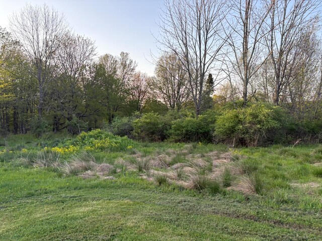 223 Wade, Liberty, NY 12754 - photo 30