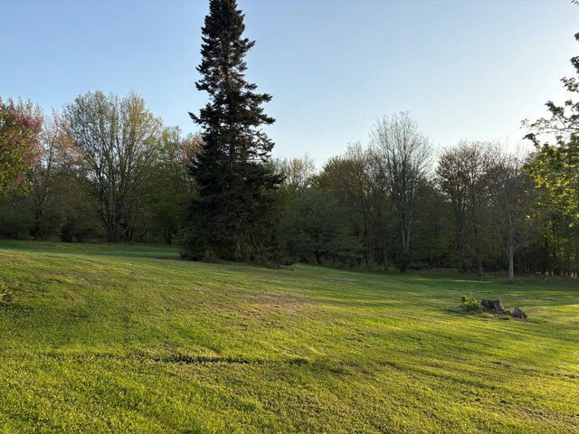 223 Wade, Liberty, NY 12754 - photo 36