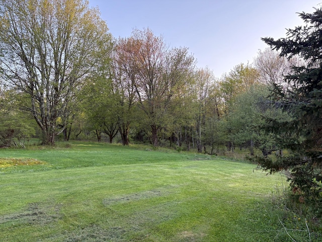 223 Wade, Liberty, NY 12754 - photo 40