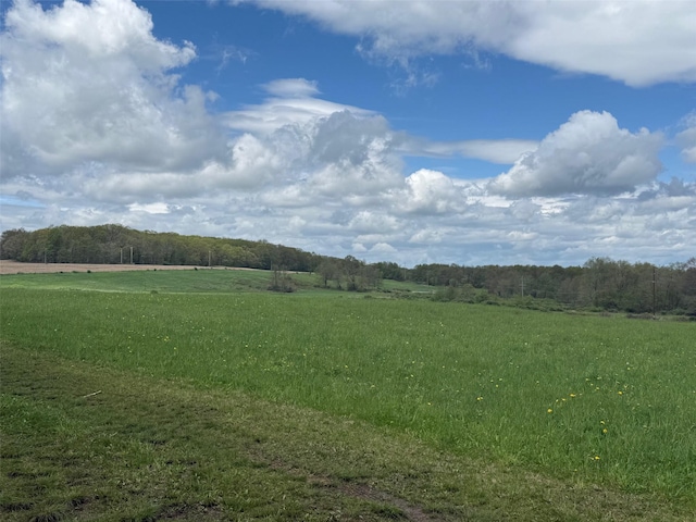 Skunks Misery Rd, Millerton, NY 12546 - photo 2