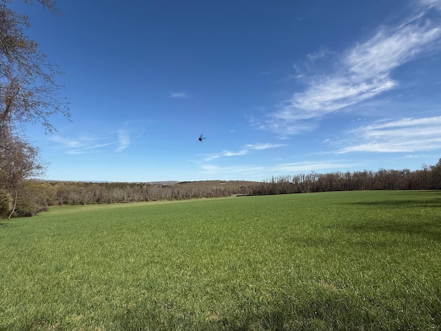 Skunks Misery Rd, Millerton, NY 12546 - photo 5
